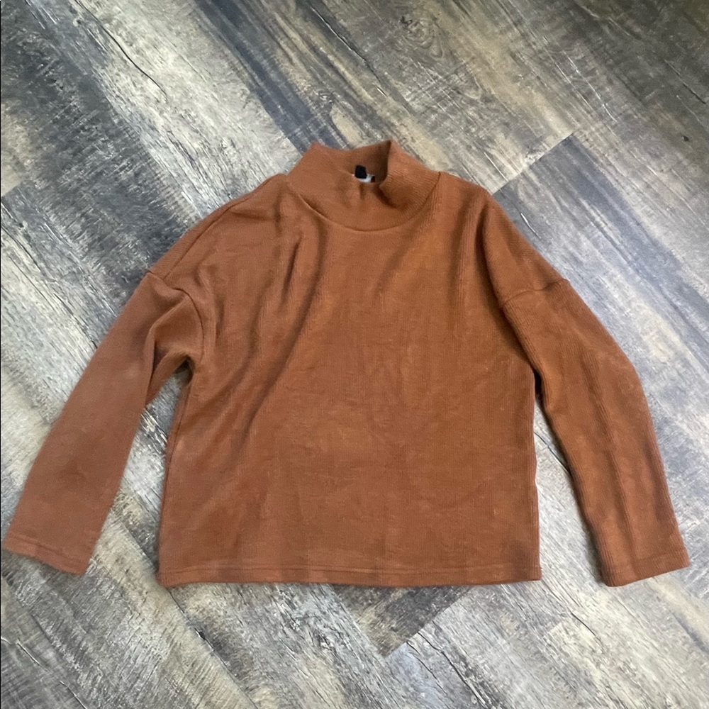 Brown Turtle Neck Sweater.